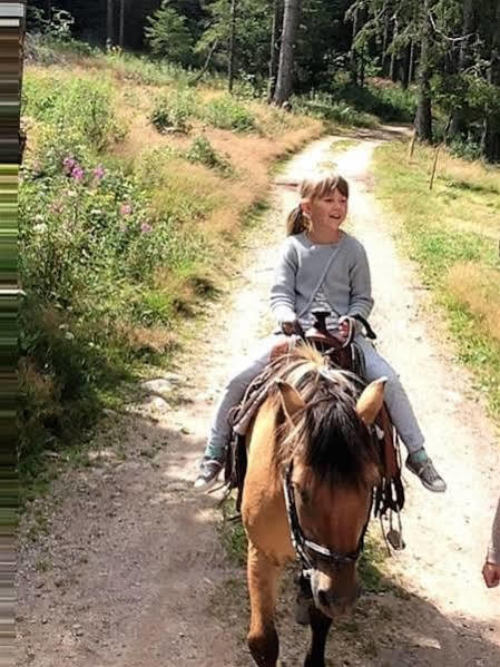 Self-Check-In Ferienwohnungen & Apartments Am Bergsee Triberg im Schwarzwald Eksteriør bilde